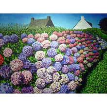 Load image into Gallery viewer, An Original Acrylic On Canvas, Pointillist Style Painting Of Hydrangeas in Vannes By Susan Entwistle